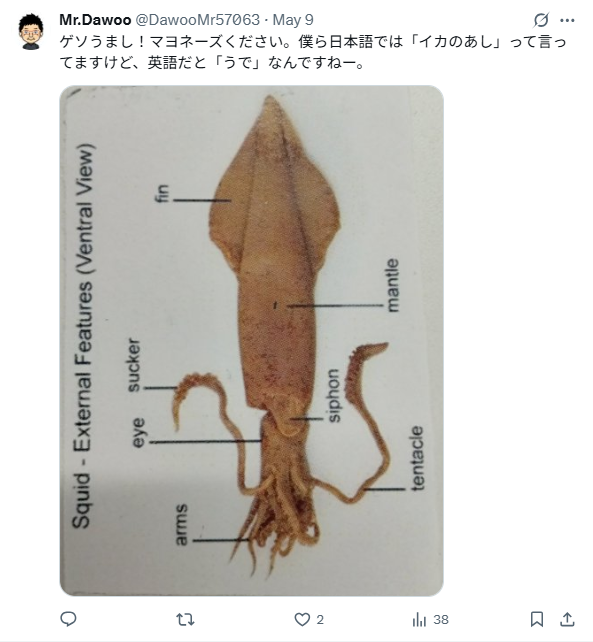 いか